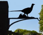 Pheasant Hanging Basket Bracket